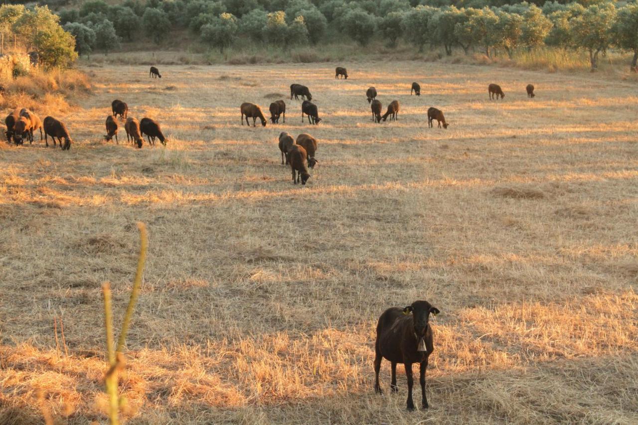 شقة Quinta Da Soneca الأندروال المظهر الخارجي الصورة